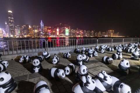 Hundreds gathered in Hong Kong for the city’s first pyrotechnics drone show