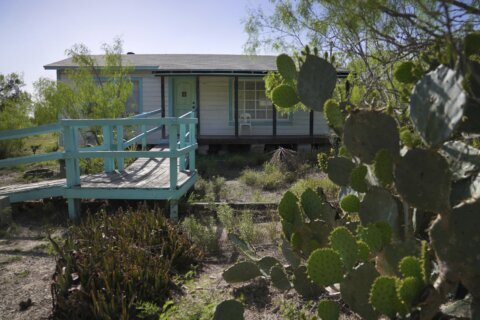 Why this Mexican American woman played a vital role in the US sacramental peyote trade