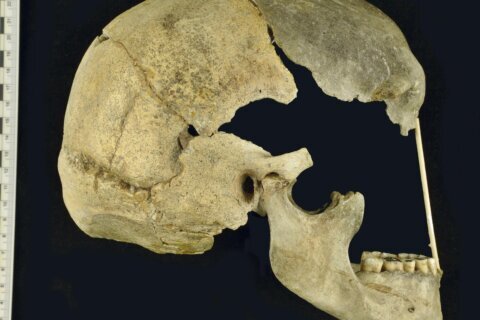 Ancient genes pinpoint when humans and Neanderthals mixed and mingled