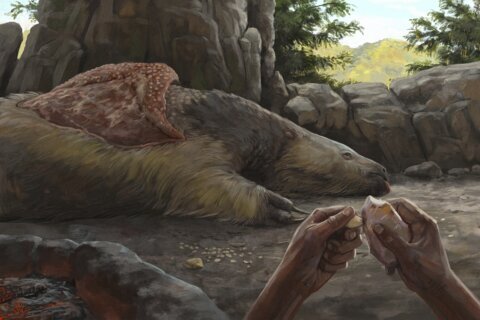 Giant sloths and mastodons coexisted with humans for millennia in Americas, new discoveries suggest