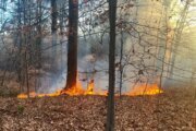 Firefighters battle multiple fires throughout DC's Rock Creek Park