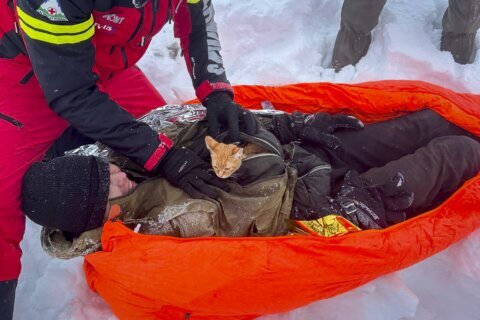 Ukrainian man fleeing war rescued with his kitten on a perilous journey through Romanian mountains