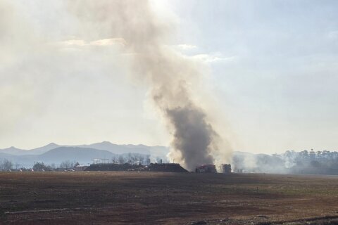 Plane burst into flames after veering off runway at an airport in South Korea, killing at least 28