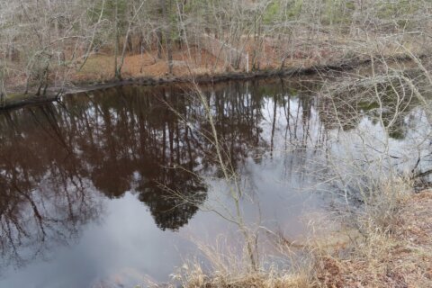 Group says New Jersey toxic waste dumping caused $1B in harm, calls settlement inadequate