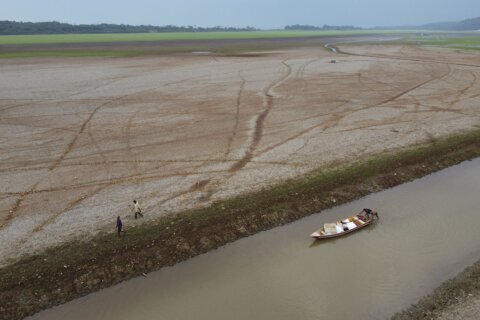 Drought, fires and deforestation battered Amazon rainforest in 2024