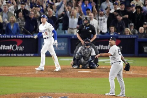 Freddie Freeman’s walk-off grand slam ball sells for $1.56 million at auction