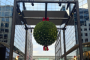 Forget the holly, there's a giant mistletoe in Downtown DC