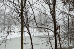 A frozen pond in Upper Marlboro, Md.