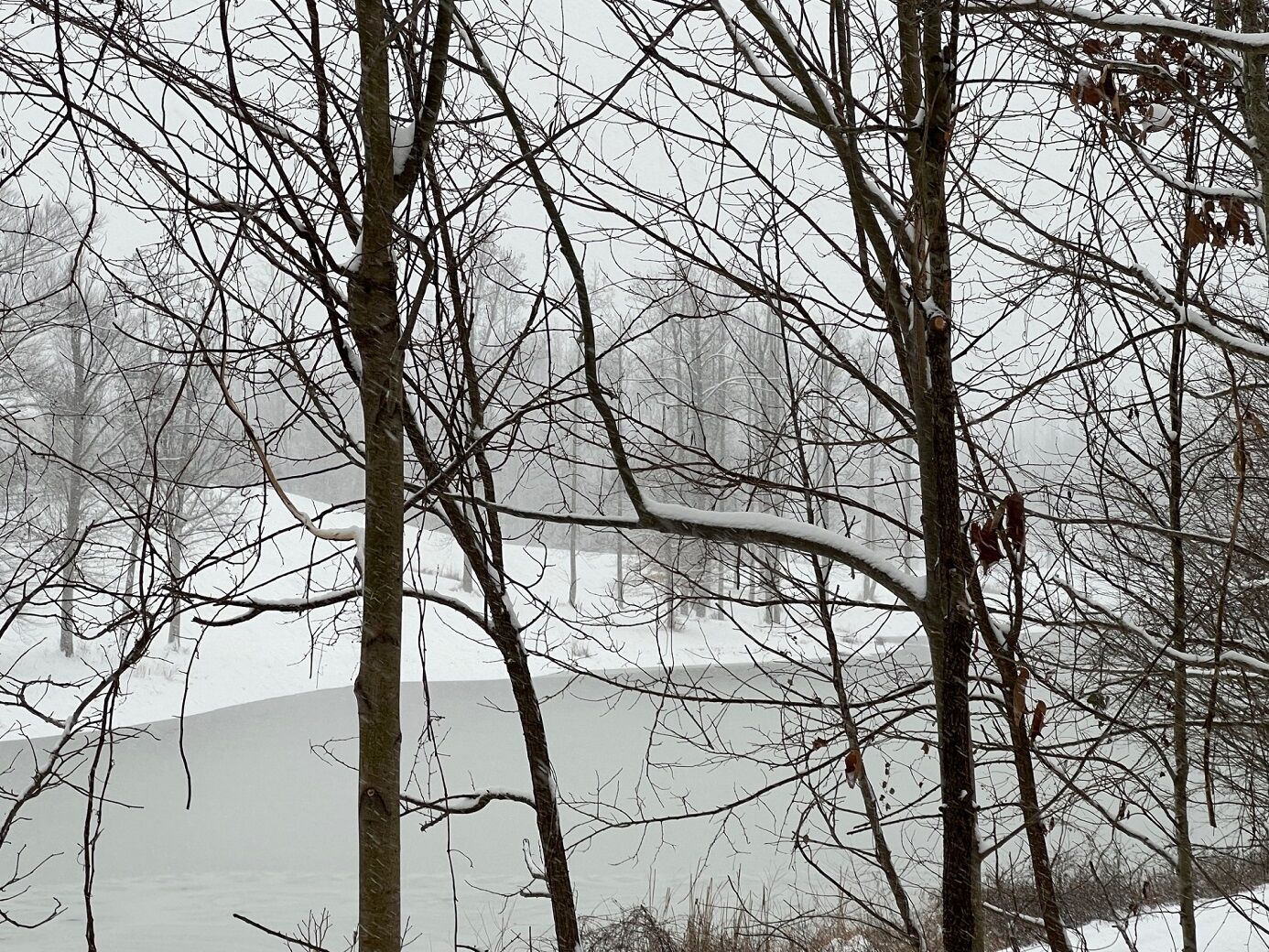 A frozen pond in Upper Marlboro, Md.