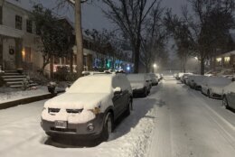 Cars covered in snow in a neighborhood