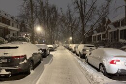 Cars covered in snow in a neighborhood