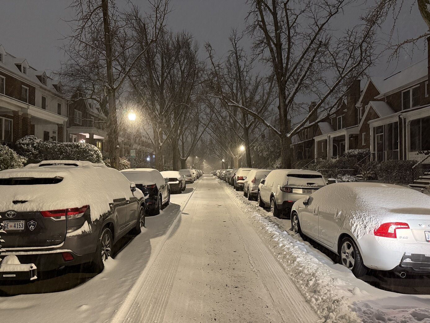 Cars covered in snow in a neighborhood