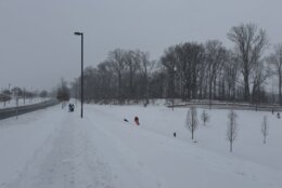 Sledding on snow day