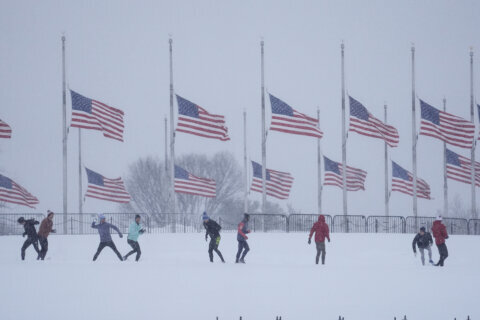 How much snow fell in the DC area during its first major snowstorm of the year?