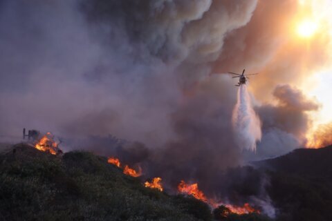 ‘I’m still trying to get my head around it’: Southern California fire chief on destruction caused by wildfires