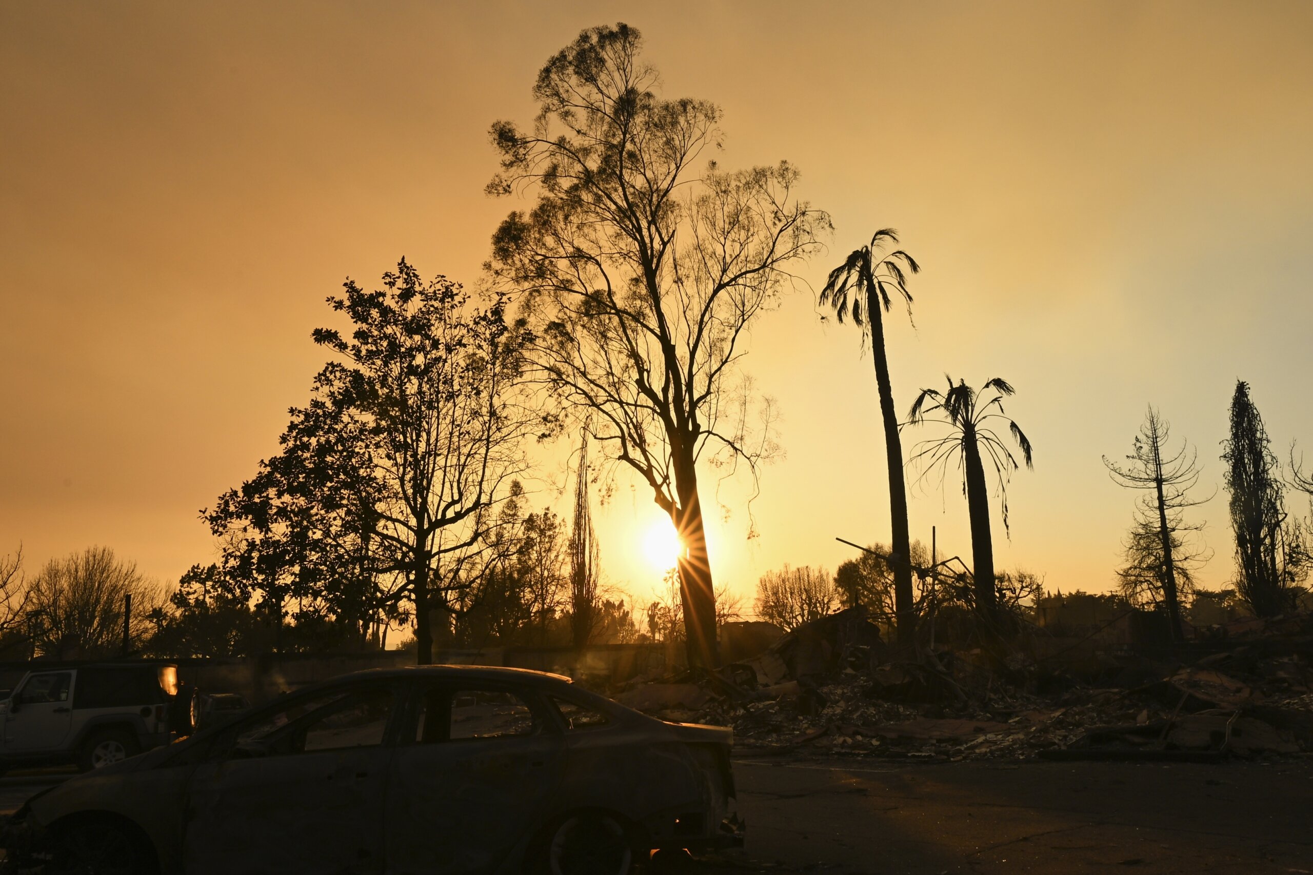 Actor Steve Guttenberg returns to his once-lush LA neighborhood now charred by devastating wildfire - News