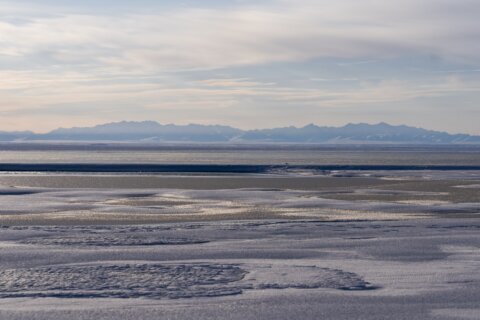 A second oil and gas lease sale for Alaska’s Arctic National Wildlife Refuge draws no bids