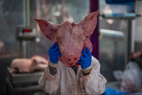 AP PHOTOS: Meat and greet: Historic London market counting down the years