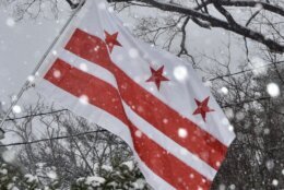 D.C. flag blowing in the snowstorm