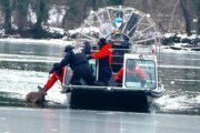 Oh deer: Fawn stranded on frozen Potomac River rescued by DC police and local ASPCA