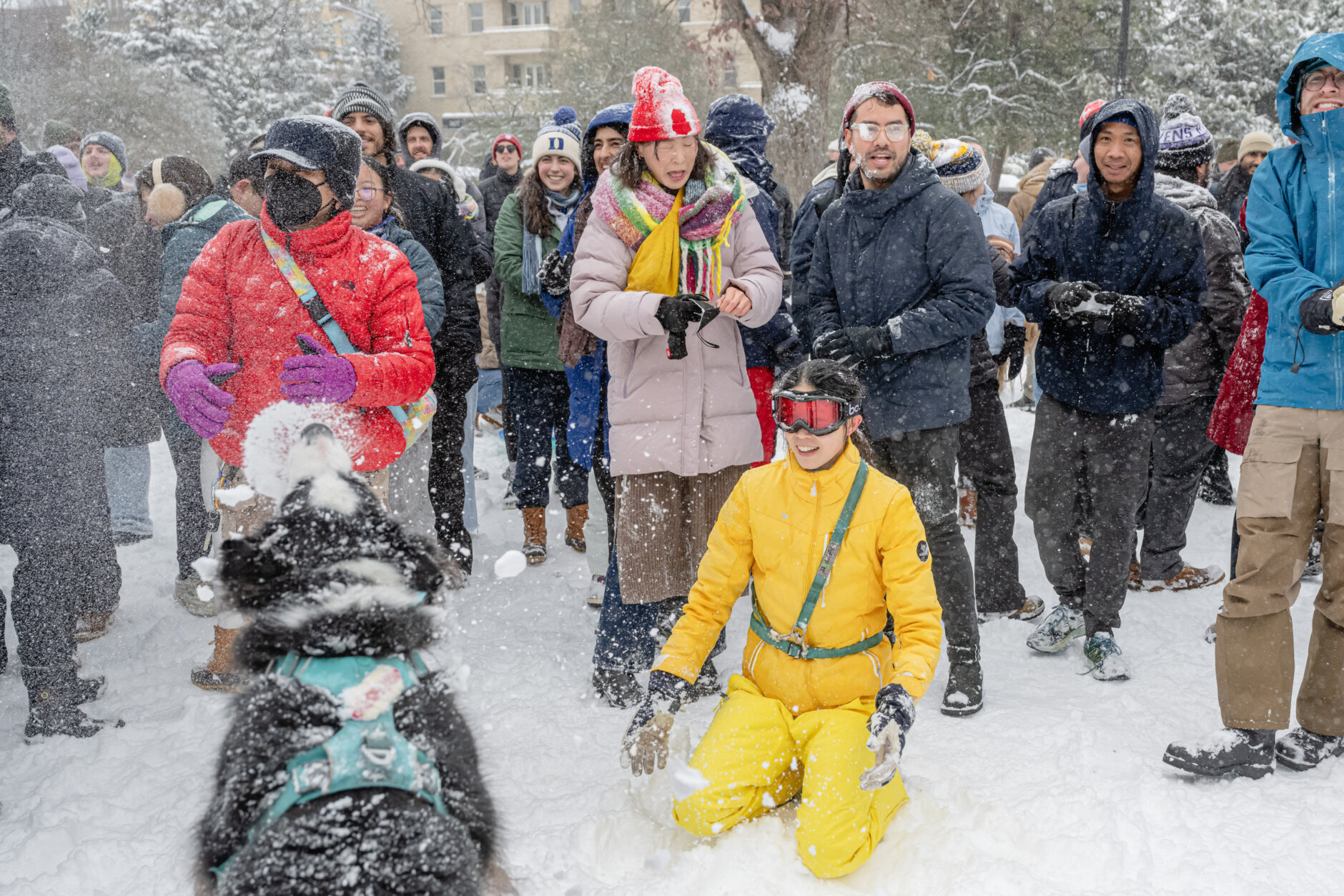 People join snowball fight