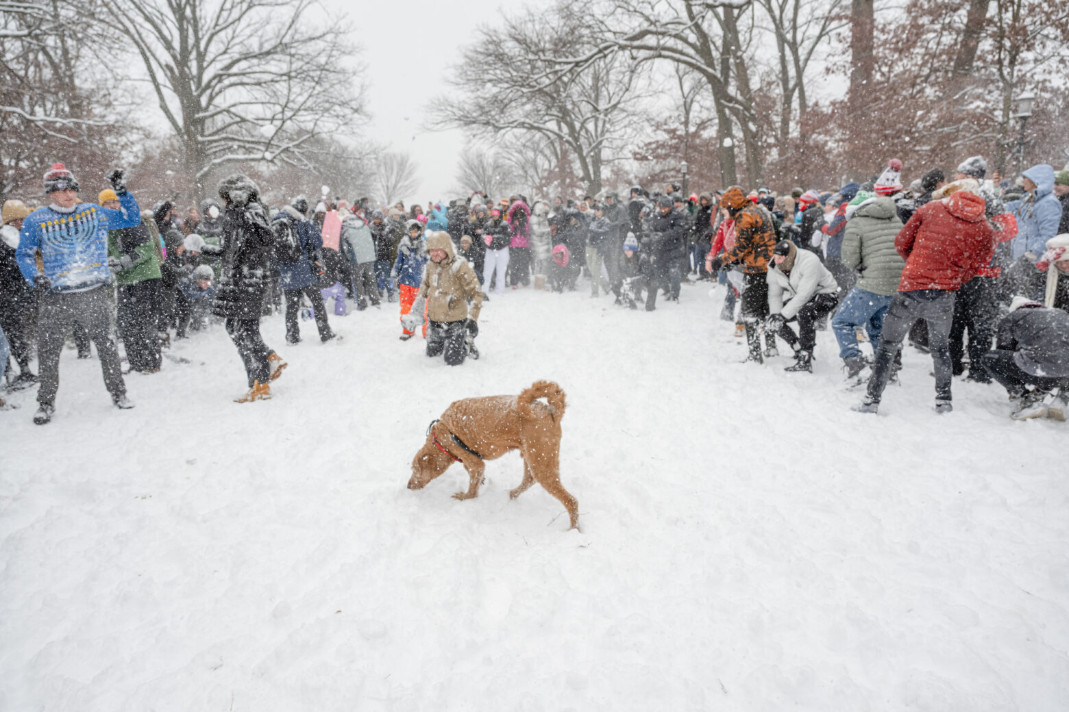 People join snowball fight