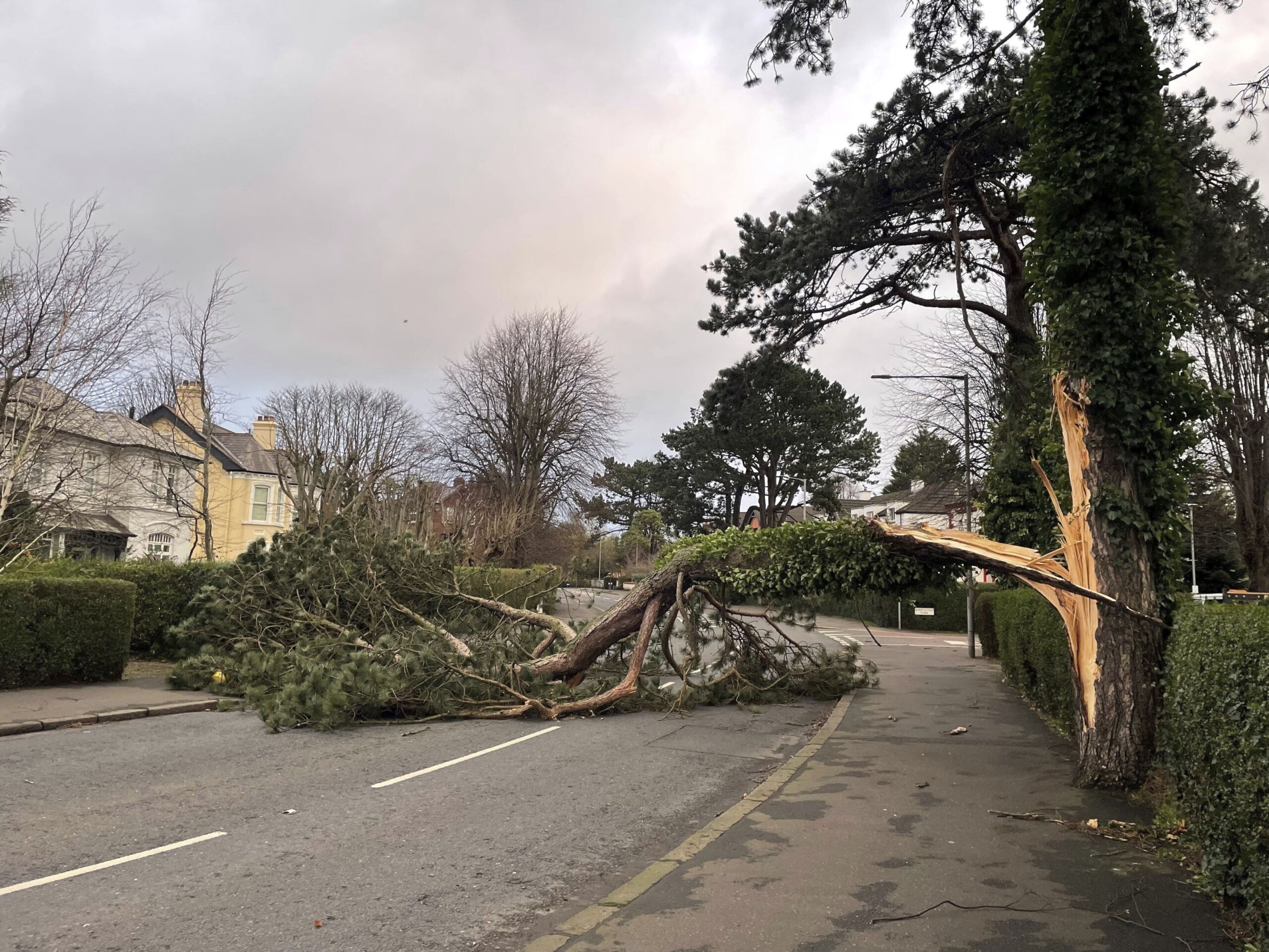 A fierce storm is lashing Ireland and Scotland with record winds, downing power lines - News