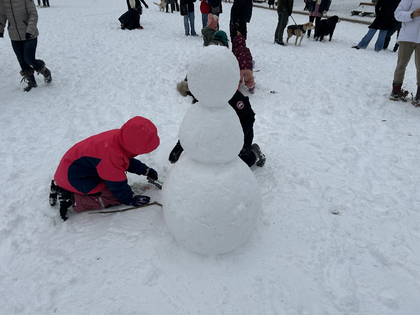 Child builds snowman