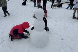 Child builds snowman