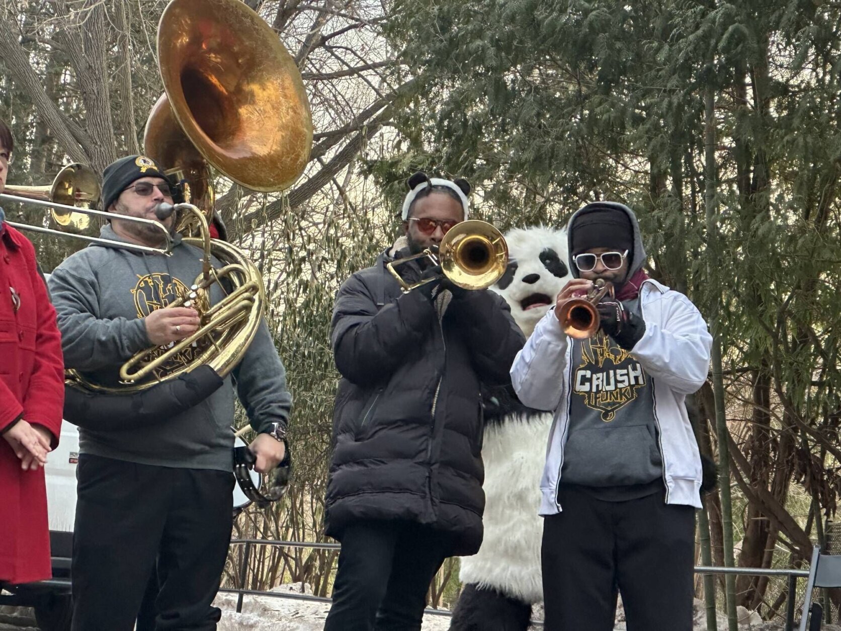 pandas nas celebrações do Zoológico Nacional