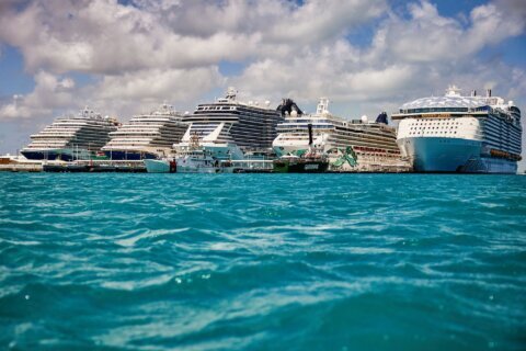 Cruise ships hit by worst year for stomach bugs in over a decade, CDC data reveals