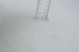 A ruler in fresh snow measuring 5 inches.