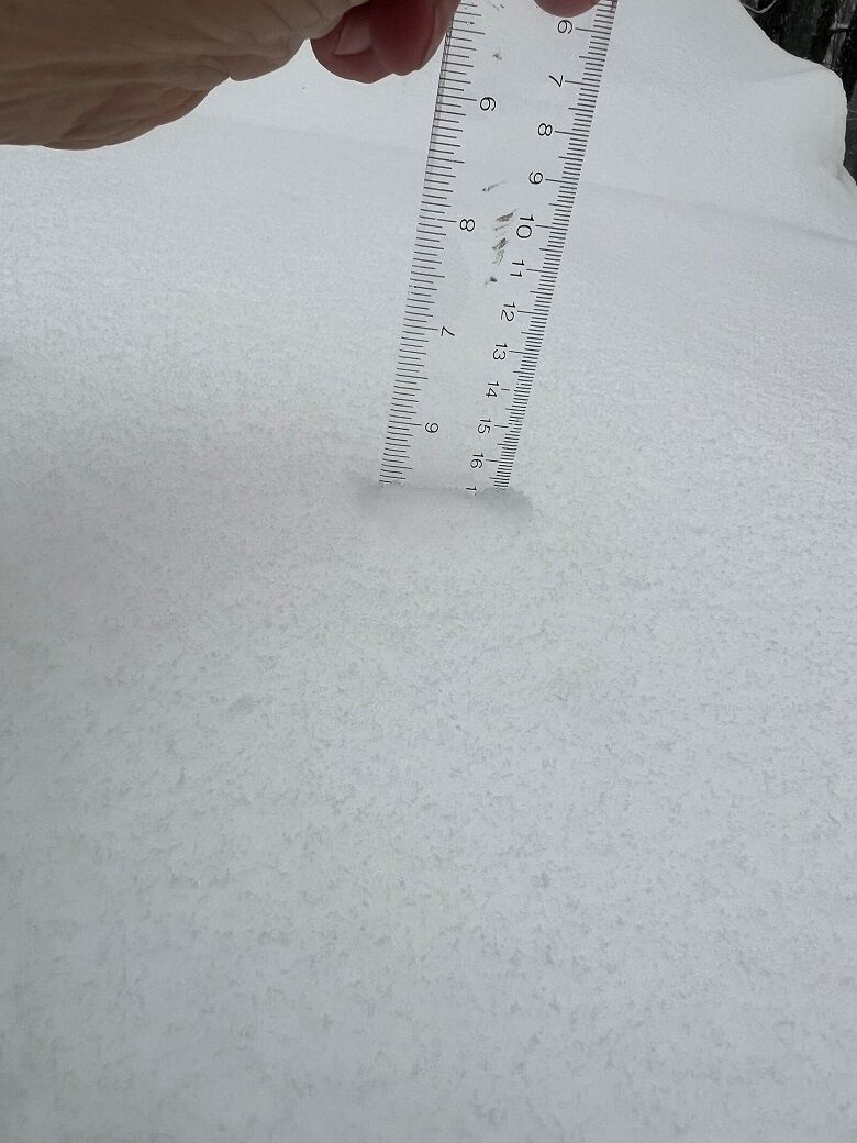 A ruler in fresh snow measuring 5 inches.