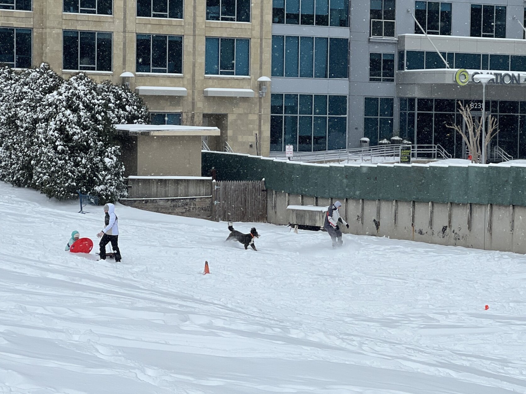 snowfall in fairfax county