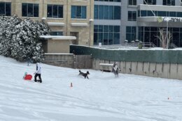 snowfall in fairfax county