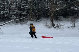 Child with sled walking in the snow