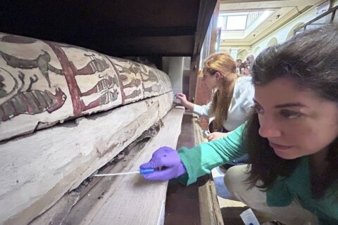 The scent of the mummy. Research discovers ancient Egyptian remains smell nice