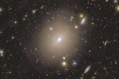 Space telescope spots rare ‘Einstein ring’ of light around galaxy in our cosmic neighborhood