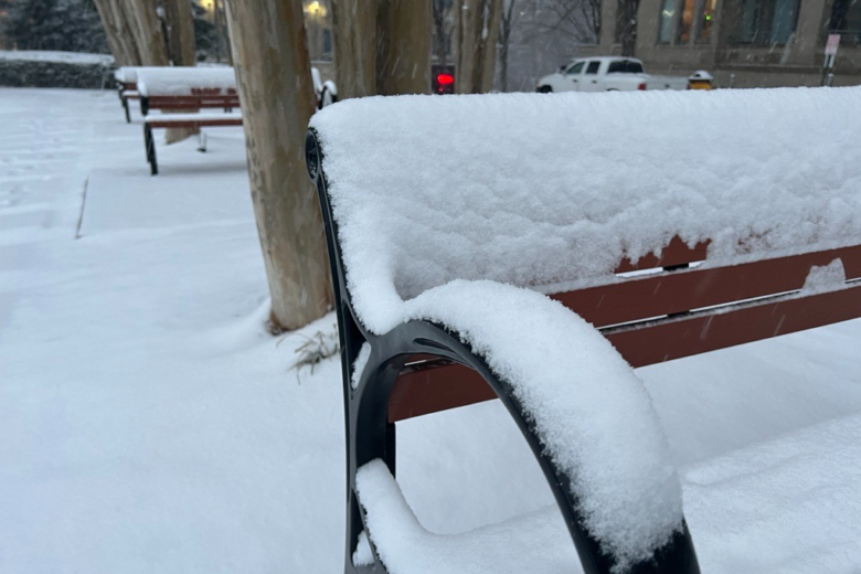 Snow on a bench