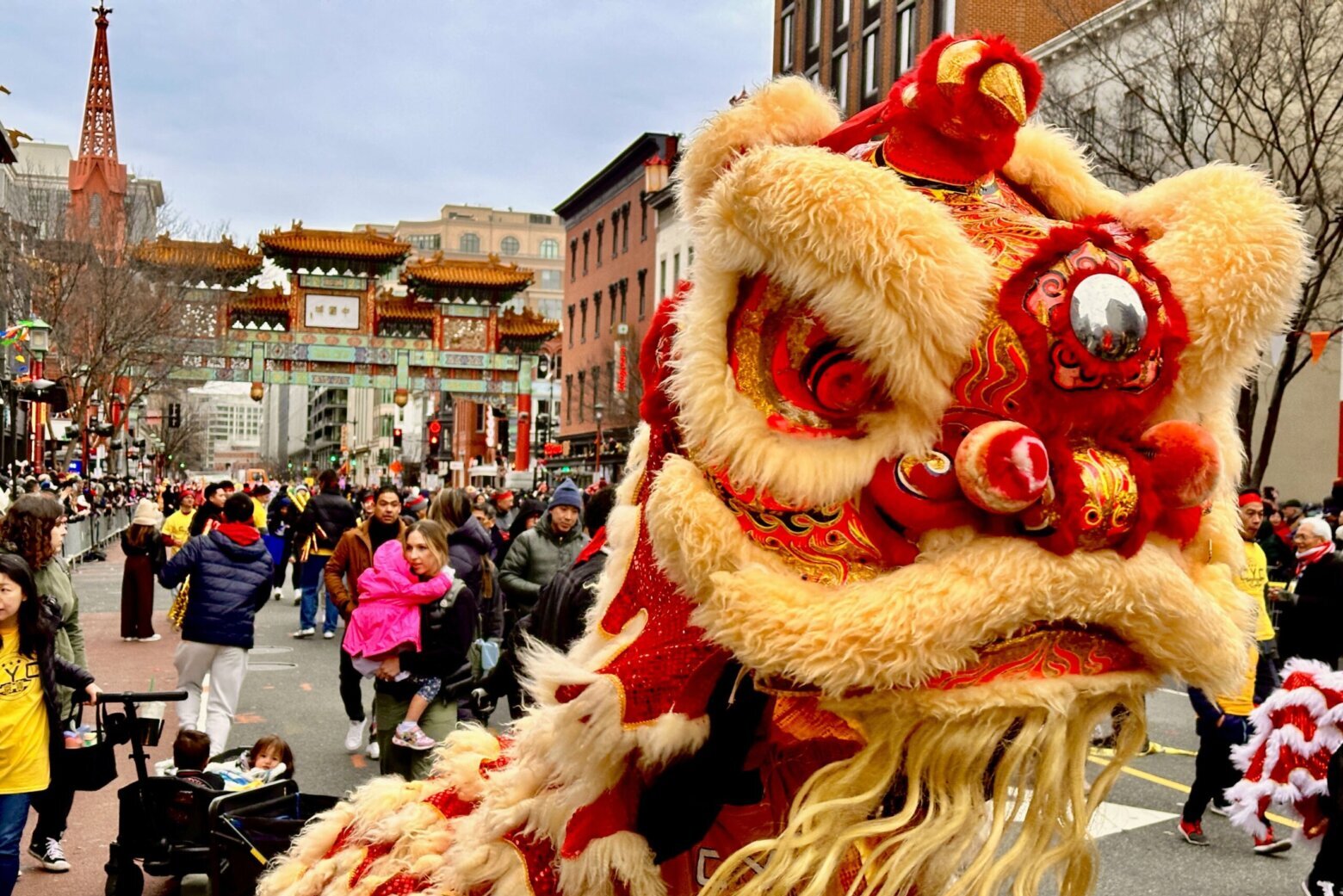 WATCH: DC Chinese Lunar New Year Parade lights up Chinatown