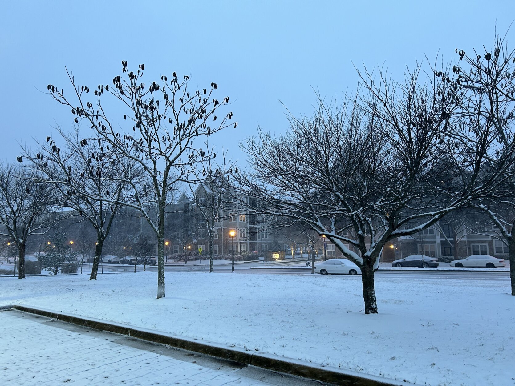 Snow in the suburbs