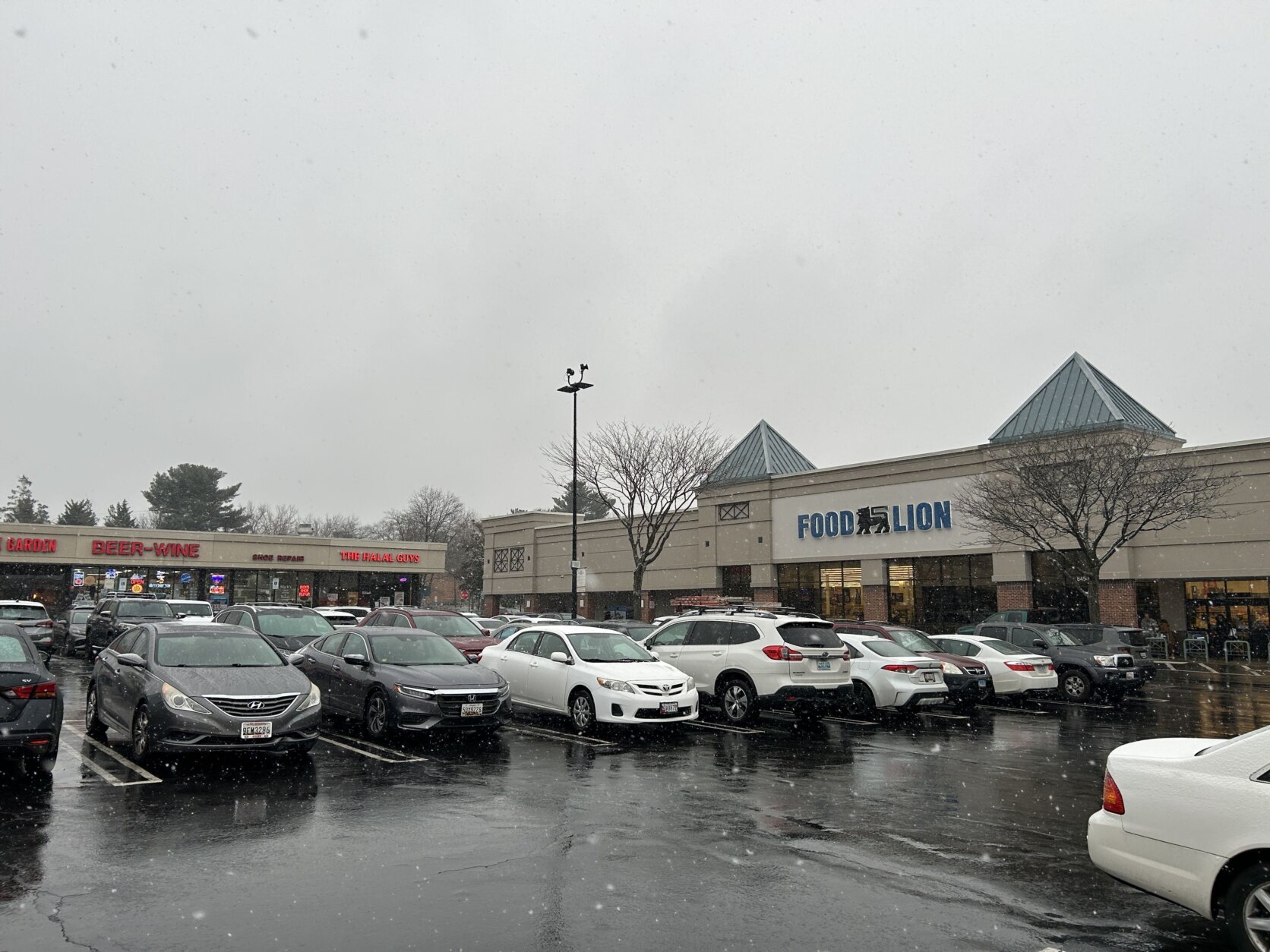 Snowfall in Strip Center