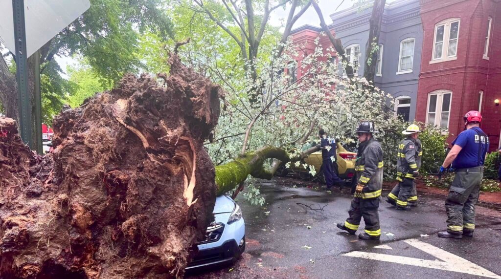 What to look for around your home after big storms