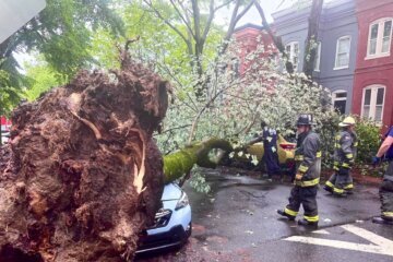 D.C. Rescue Squad 1 responds to this tree down on an unoccupied vehicle in the 100 block 10th St NE.