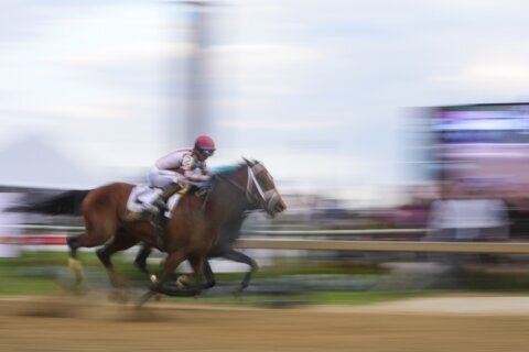 The Preakness is this weekend, but not at Pimlico Racecourse
