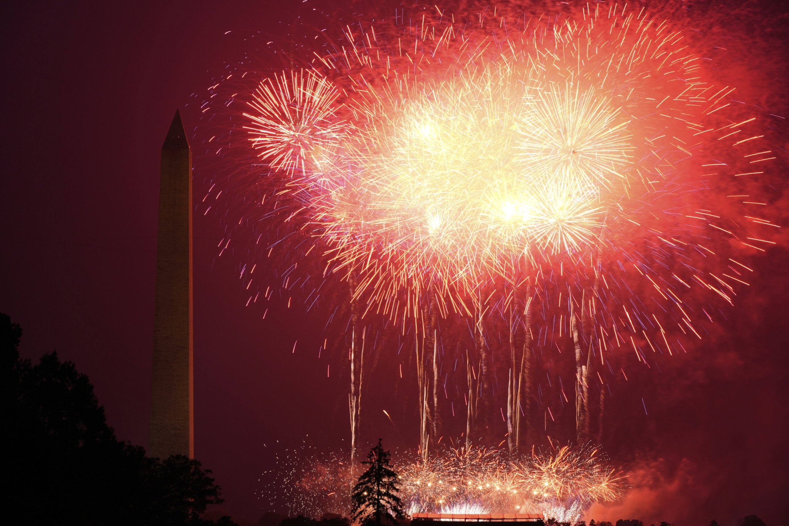 Fireworks Anxiety in Kids: Tips & Support