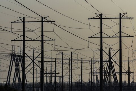 High voltage power lines run along the electrical power grid in Pembroke, Florida in May 2024.