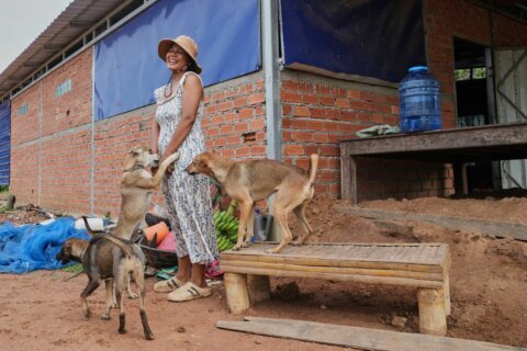 Thailand and Cambodia reaffirm ceasefire after China-brokered meeting in Shanghai