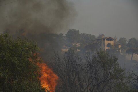 Cyprus gets help from other countries to battle huge wildfire that has killed 2