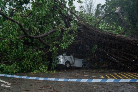 Typhoon Wipha topples trees and causes major flight disruptions in Hong Kong and southern China